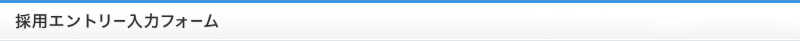 採用エントリー入力フォーム
